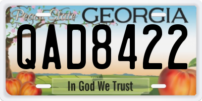 GA license plate QAD8422