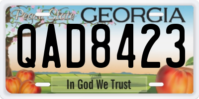 GA license plate QAD8423