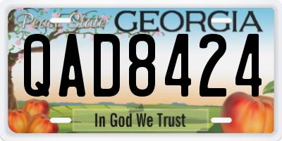 GA license plate QAD8424
