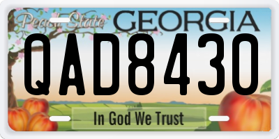 GA license plate QAD8430