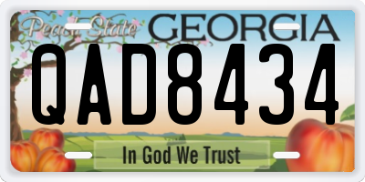 GA license plate QAD8434