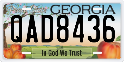 GA license plate QAD8436