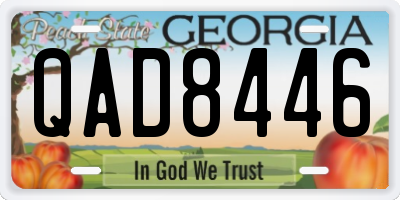 GA license plate QAD8446