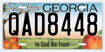 GA license plate QAD8448