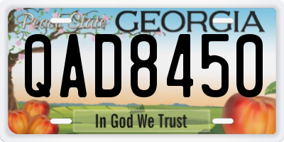 GA license plate QAD8450