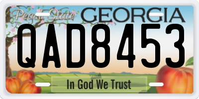 GA license plate QAD8453