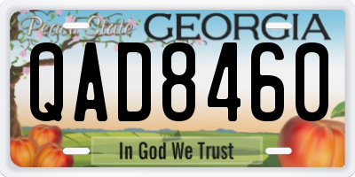 GA license plate QAD8460