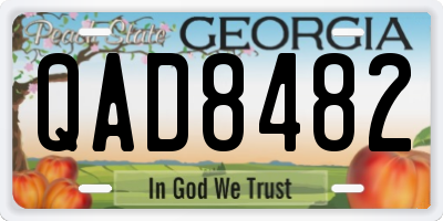 GA license plate QAD8482