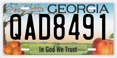 GA license plate QAD8491