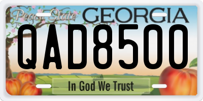 GA license plate QAD8500