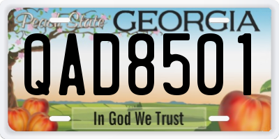 GA license plate QAD8501