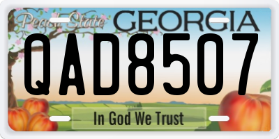 GA license plate QAD8507