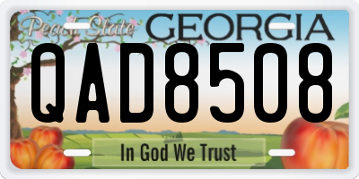 GA license plate QAD8508