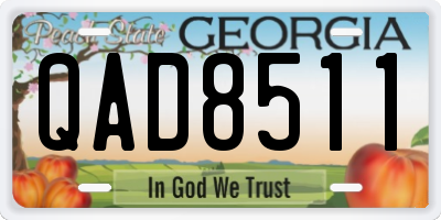 GA license plate QAD8511
