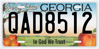 GA license plate QAD8512