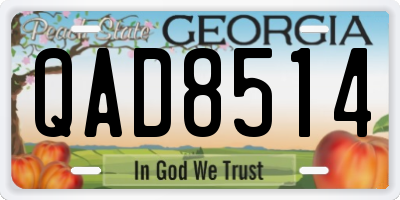 GA license plate QAD8514