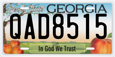 GA license plate QAD8515