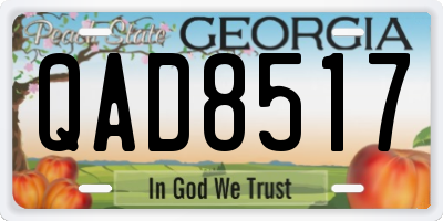 GA license plate QAD8517
