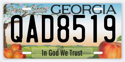 GA license plate QAD8519