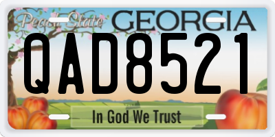 GA license plate QAD8521