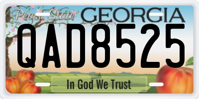 GA license plate QAD8525