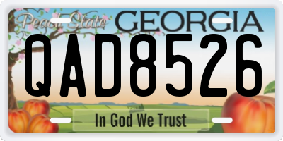 GA license plate QAD8526