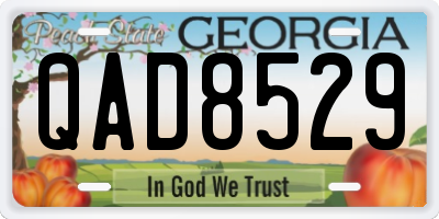 GA license plate QAD8529