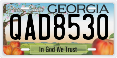 GA license plate QAD8530