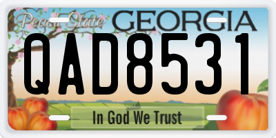 GA license plate QAD8531