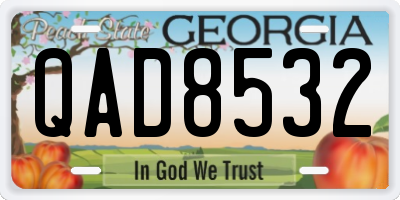 GA license plate QAD8532