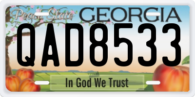 GA license plate QAD8533