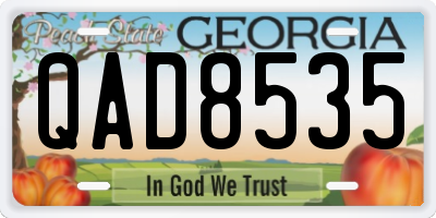 GA license plate QAD8535