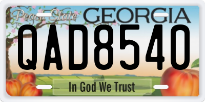 GA license plate QAD8540