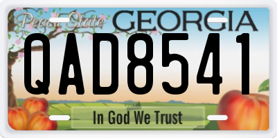 GA license plate QAD8541