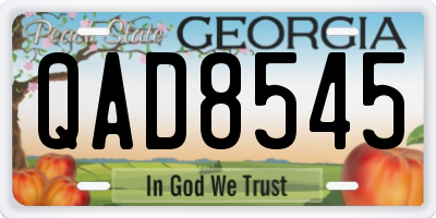 GA license plate QAD8545
