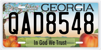 GA license plate QAD8548
