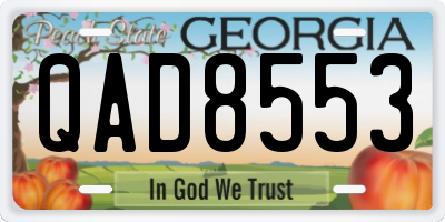 GA license plate QAD8553