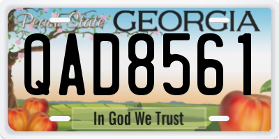 GA license plate QAD8561