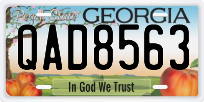 GA license plate QAD8563