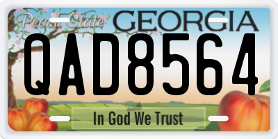 GA license plate QAD8564