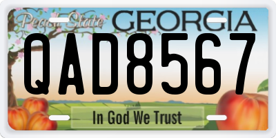 GA license plate QAD8567