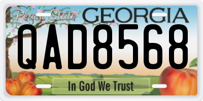 GA license plate QAD8568