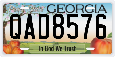GA license plate QAD8576