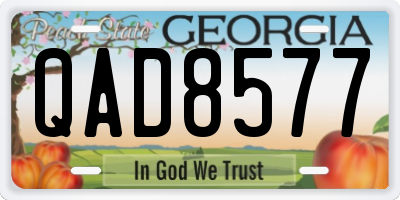 GA license plate QAD8577