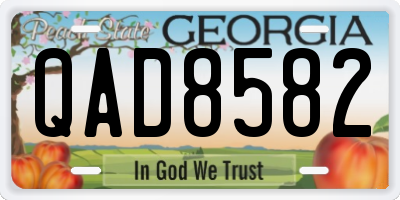 GA license plate QAD8582