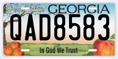 GA license plate QAD8583