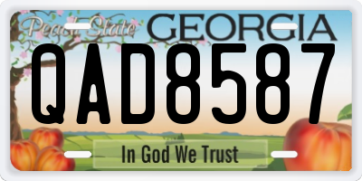 GA license plate QAD8587