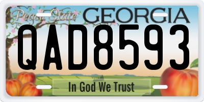 GA license plate QAD8593