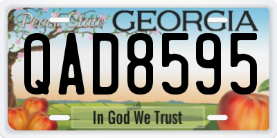 GA license plate QAD8595