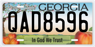 GA license plate QAD8596